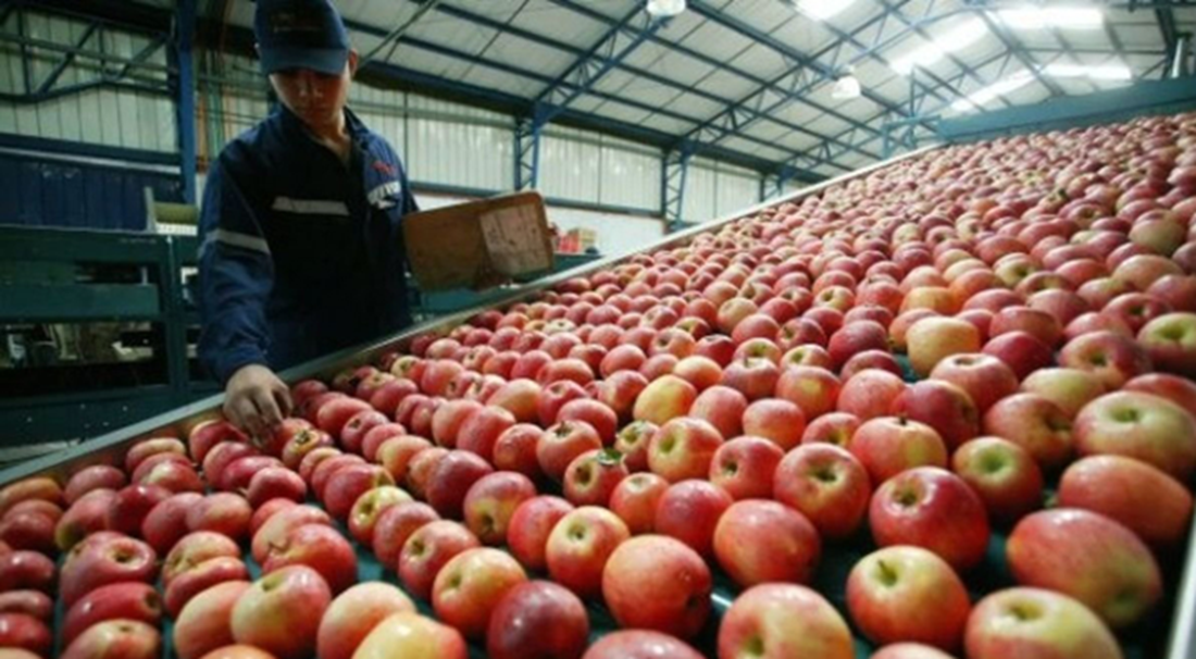 Semana de noticias en Río Negro