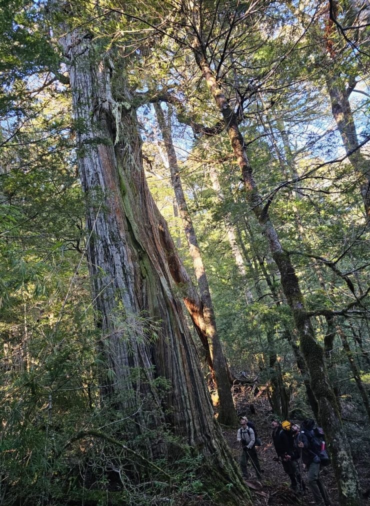 Guardaparques relevaron 65 kilómetros remotos del Nahuel Huapi