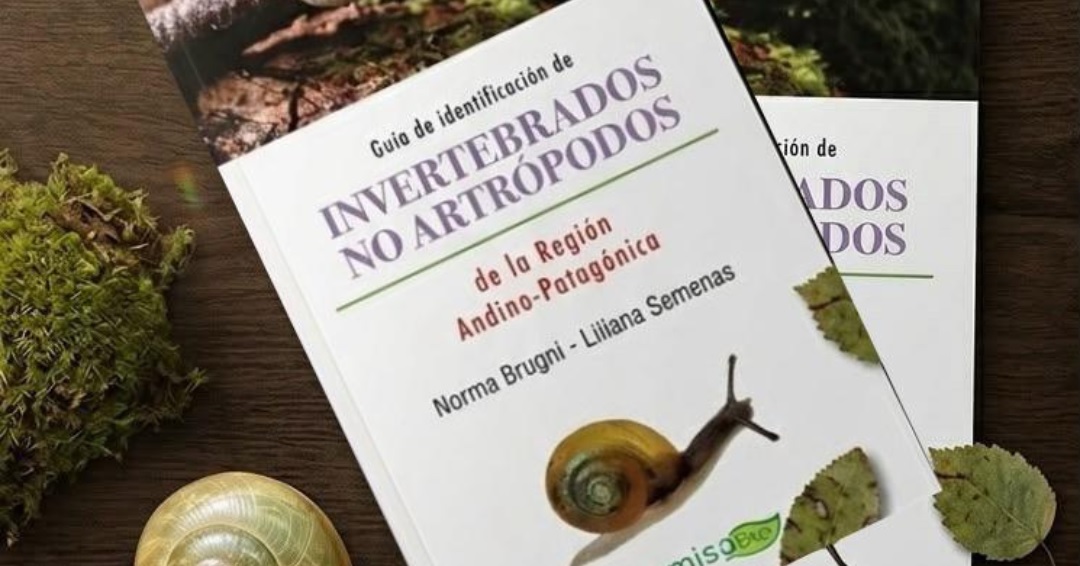 Presentan en Bariloche la primera guía de invertebrados no artrópodos de la Patagonia