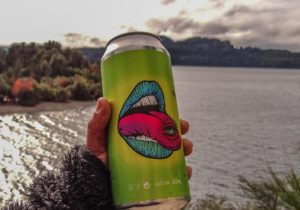 Negocios: Una cervecería en Bariloche buscadescentralizar la birra artesanal con punto de recarga