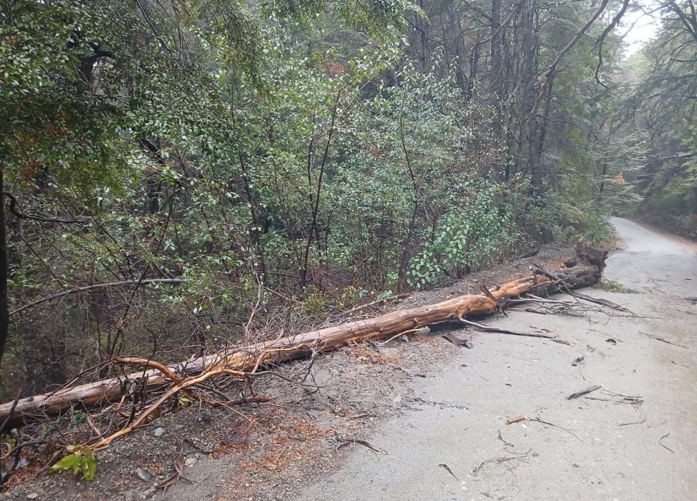 Circuito Tronador: Parque Nacional Nahuel Huapi reabre con restricciones tras daños por precipitaciones intensas
