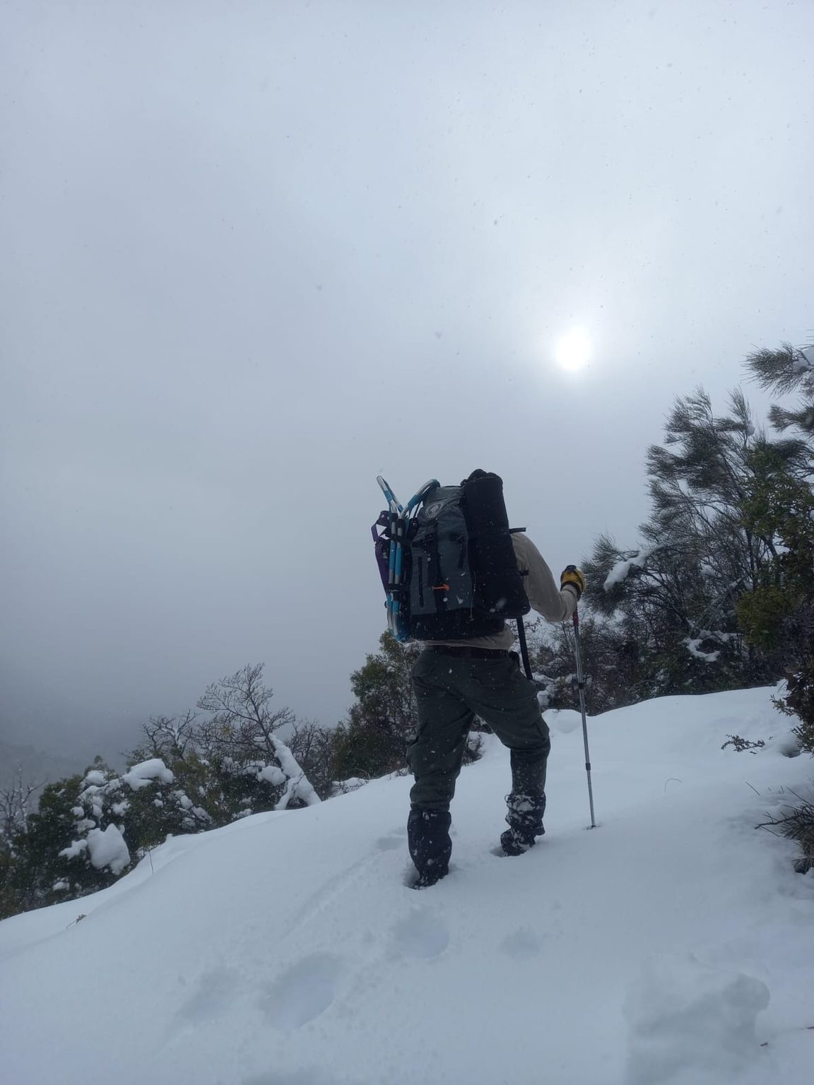 Entre nieve y montaña: relevaron el sendero a Laguna Los Césares en el Nahuel Huapi
