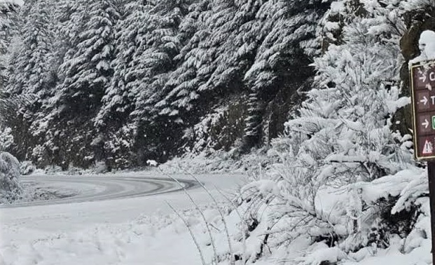 Emiten alerta amarillo por nevadas intensas en el Parque Nacional Nahuel Huapi
