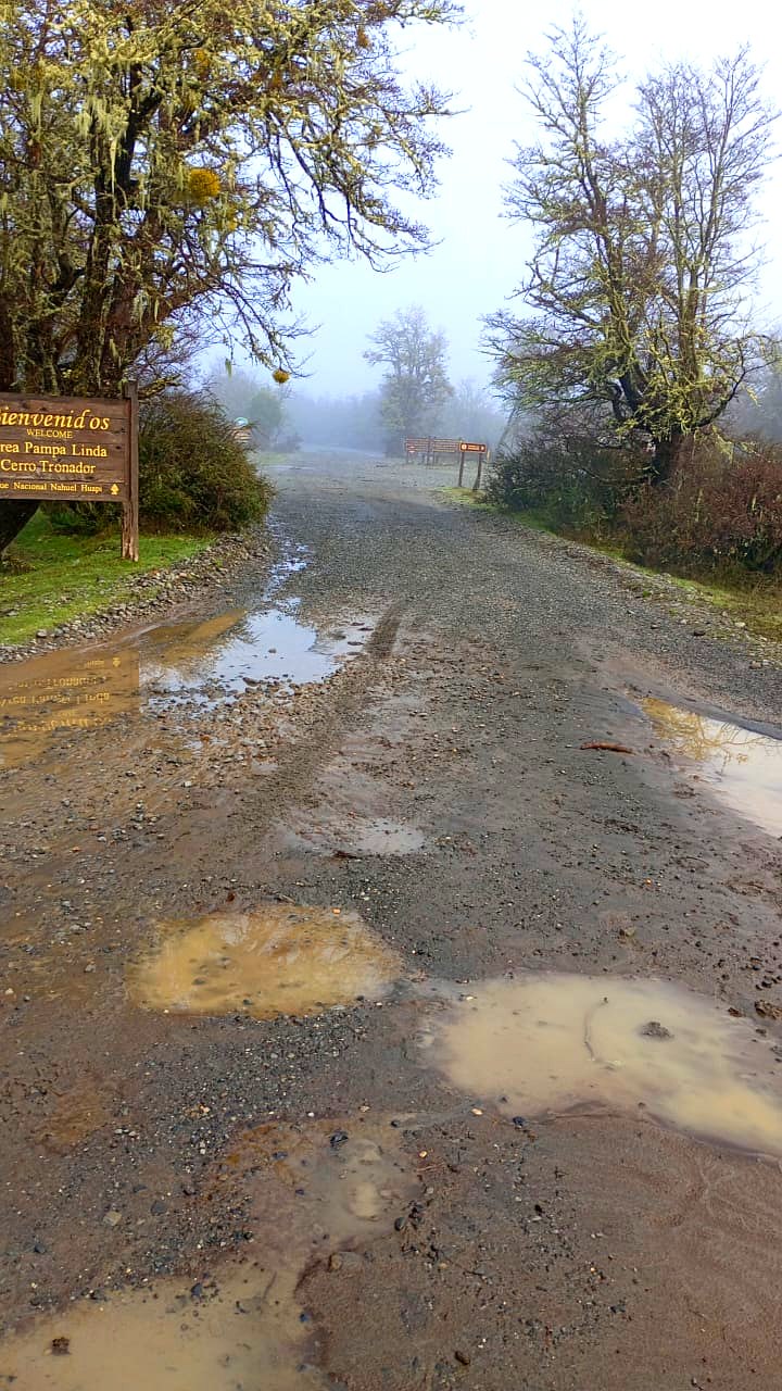 Acceso al área Pampa Linda con niebla y barro, camino al Tronador