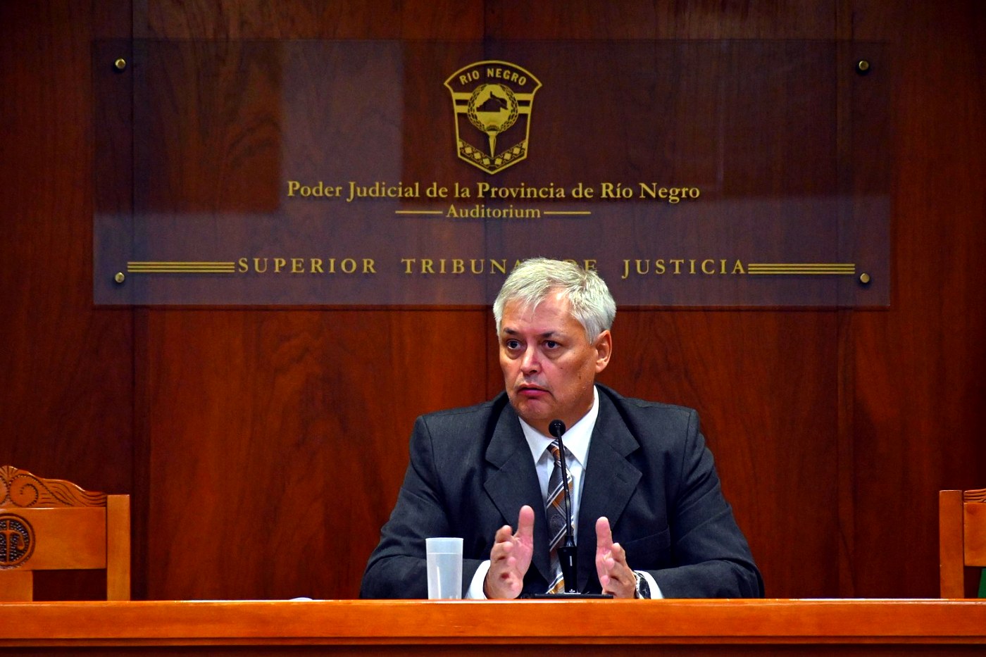 Certificados médicos falsos: el juez Adrián Dvorzak en una audiencia en Viedma