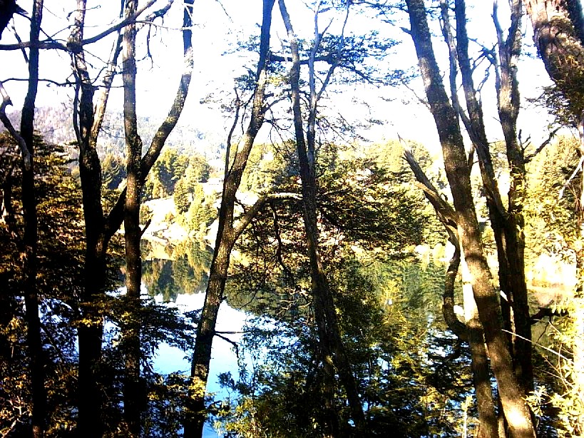 Libre acceso a costas del lago Nahuel Huapi en Bariloche