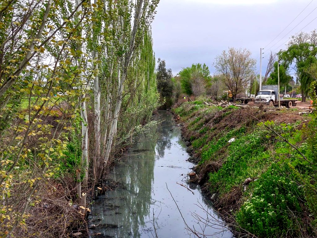 Limpieza del desagüe del ex Canal Roca en Cipolletti, en paralelo al desagüe en Mengelle