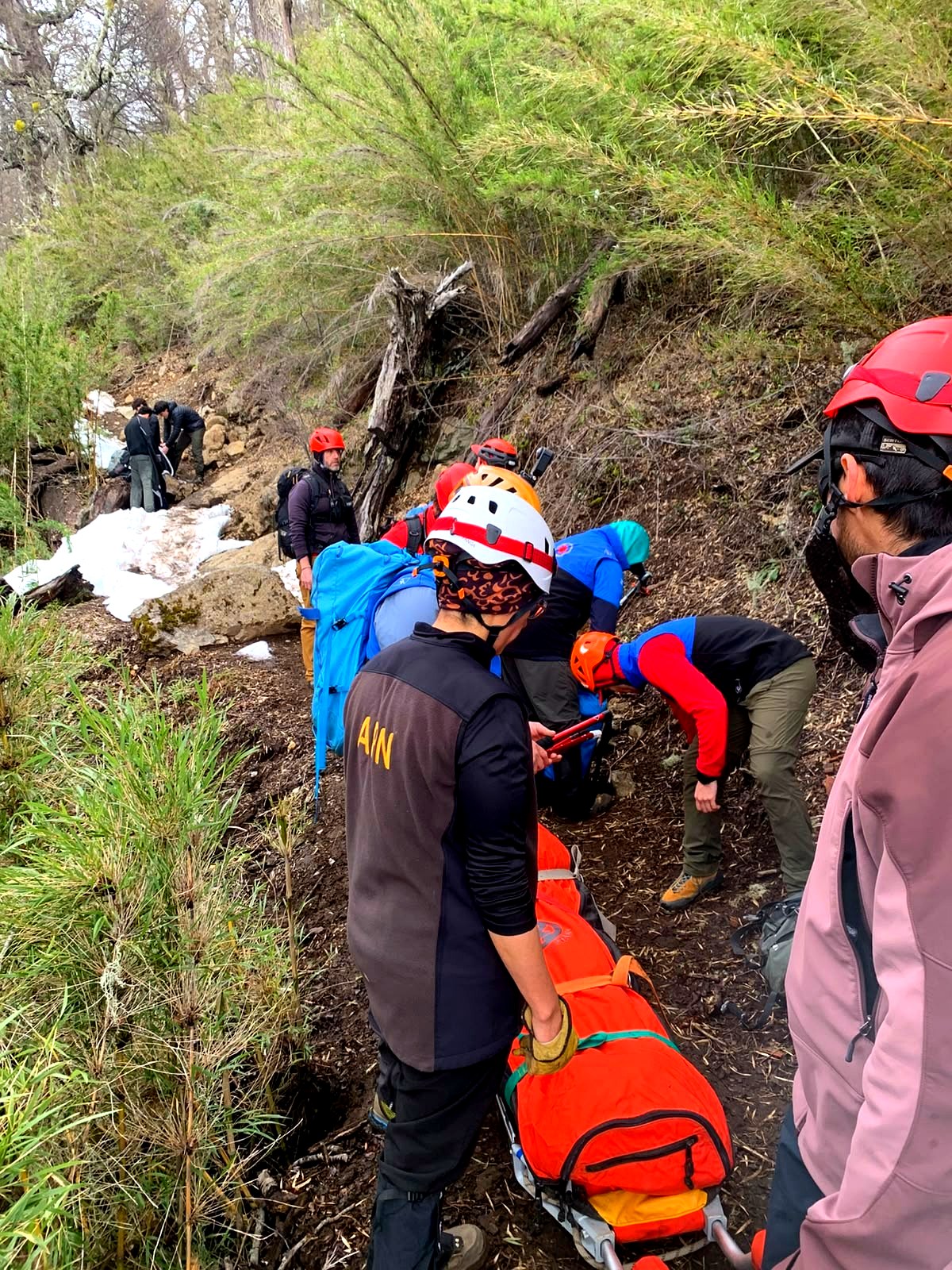 Brigadistas del Parque Nacional Nahuel Huapi evacúan en camilla a una caminante en el sendero al refugio Frey