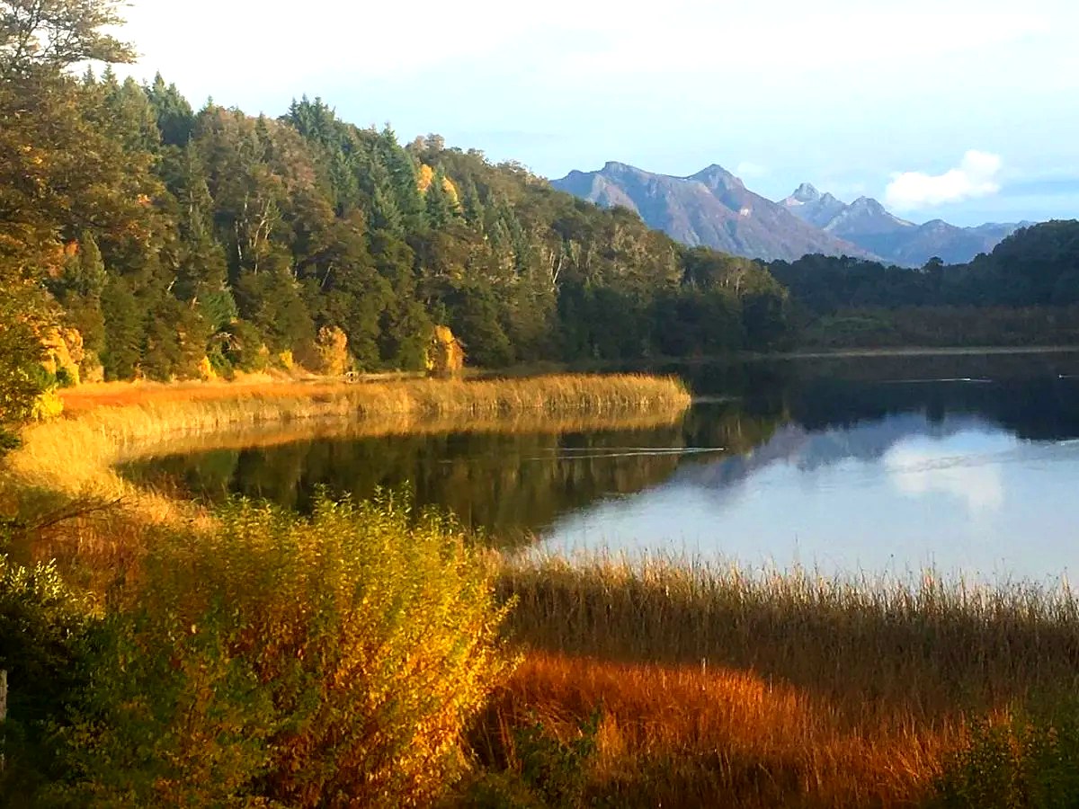 Faena y Cauma: reservas naturales del oeste de Bariloche