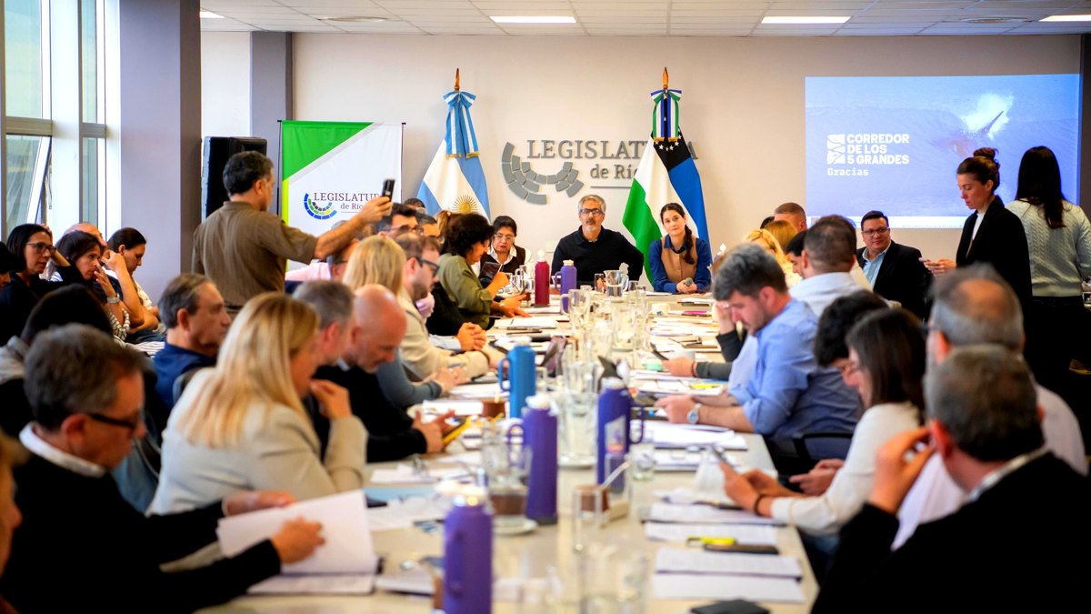 Plenario de comisiones de la Legislatura de Río Negro antes de la sesión del jueves