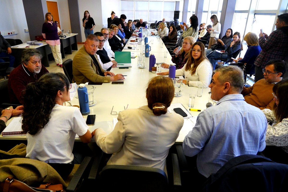 Reunión de la Comisión de Cultura de la Legislatura de Río Negro
