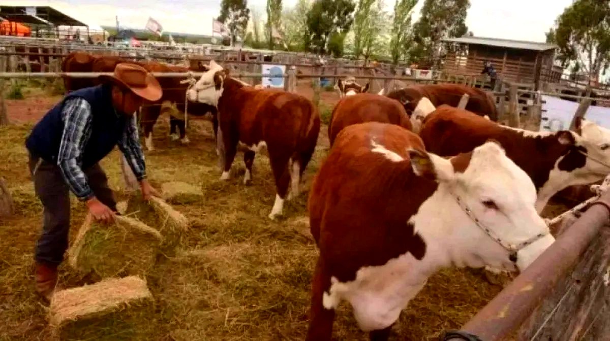 Expo Rural del Alto Valle en Paso Córdoba, Roca, agenda de María Emilia Soria