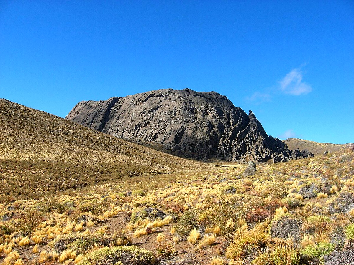 Paisaje de la Meseta de Somuncurá, área protegida afectada por la caza ilegal de guanacos
