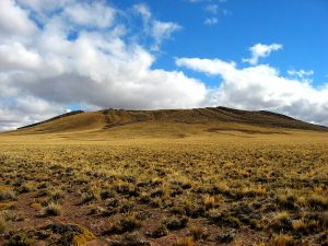 Caza ilegal de guanacos en Somuncurá: decomisan 464 kilos de carne en Valcheta mientras la Provincia define la Ley de Carnes