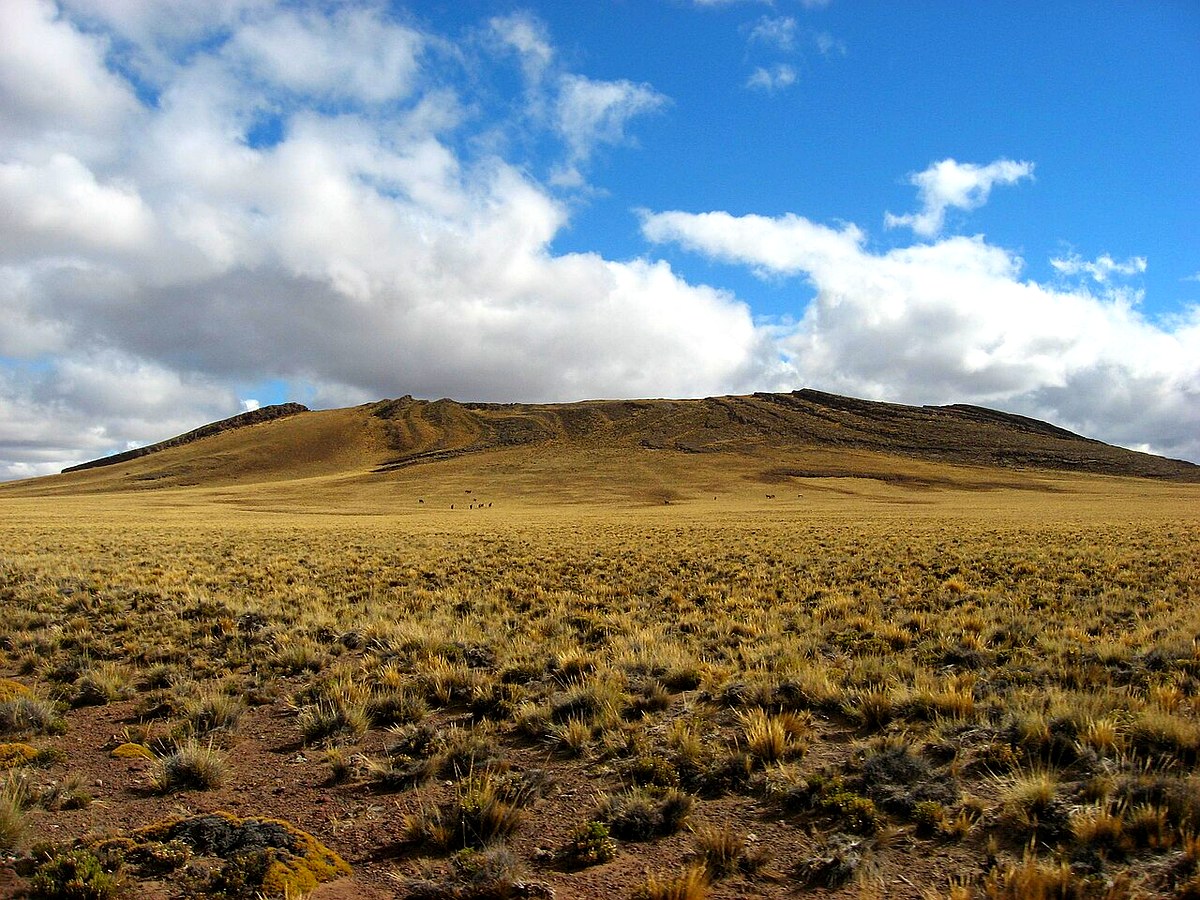 Estepa de la Meseta de Somuncurá, zona de la caza ilegal de guanacos