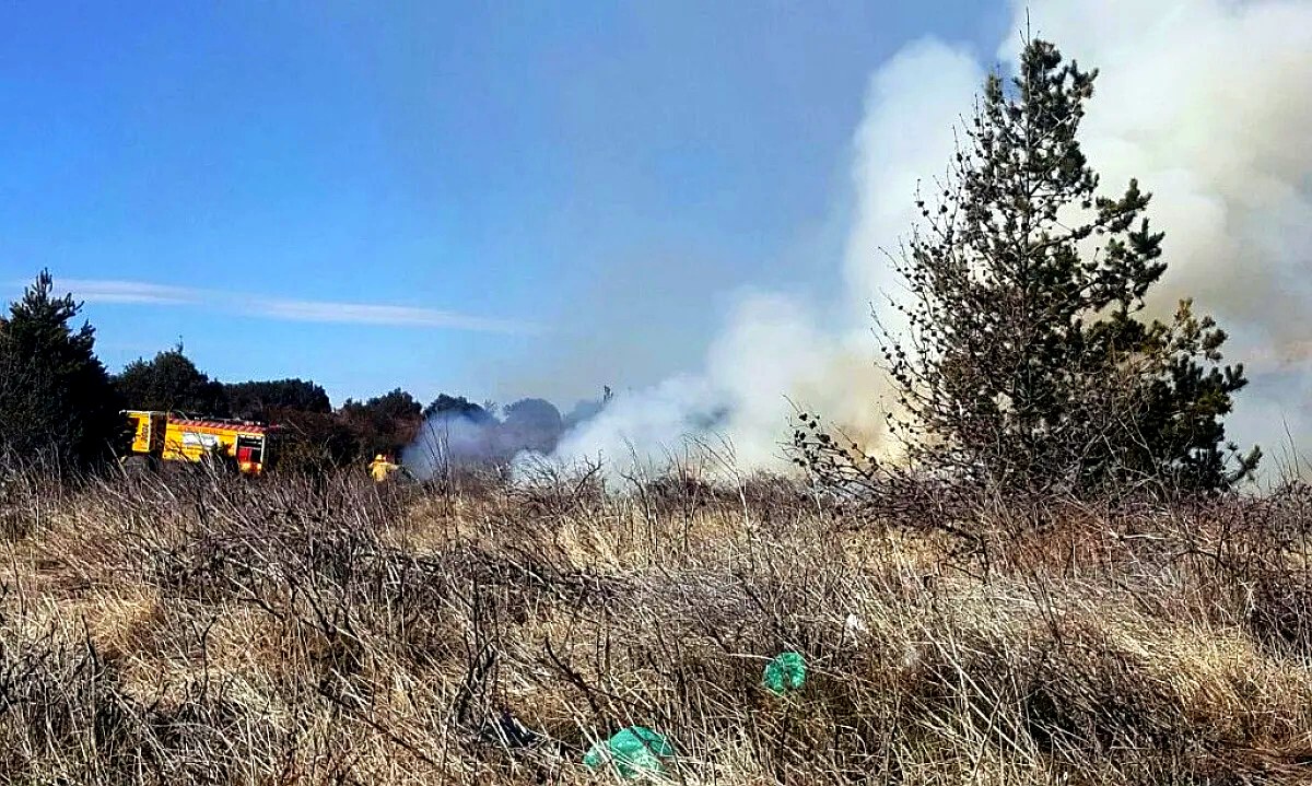 Quemas en El Bolsón: humo de una quema en la zona andina