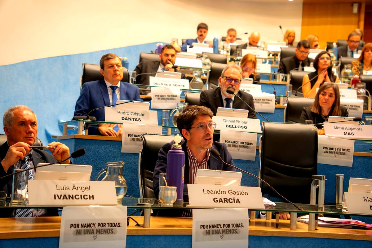 Salario familiar: el legislador Leandro García en la Legislatura de Río Negro