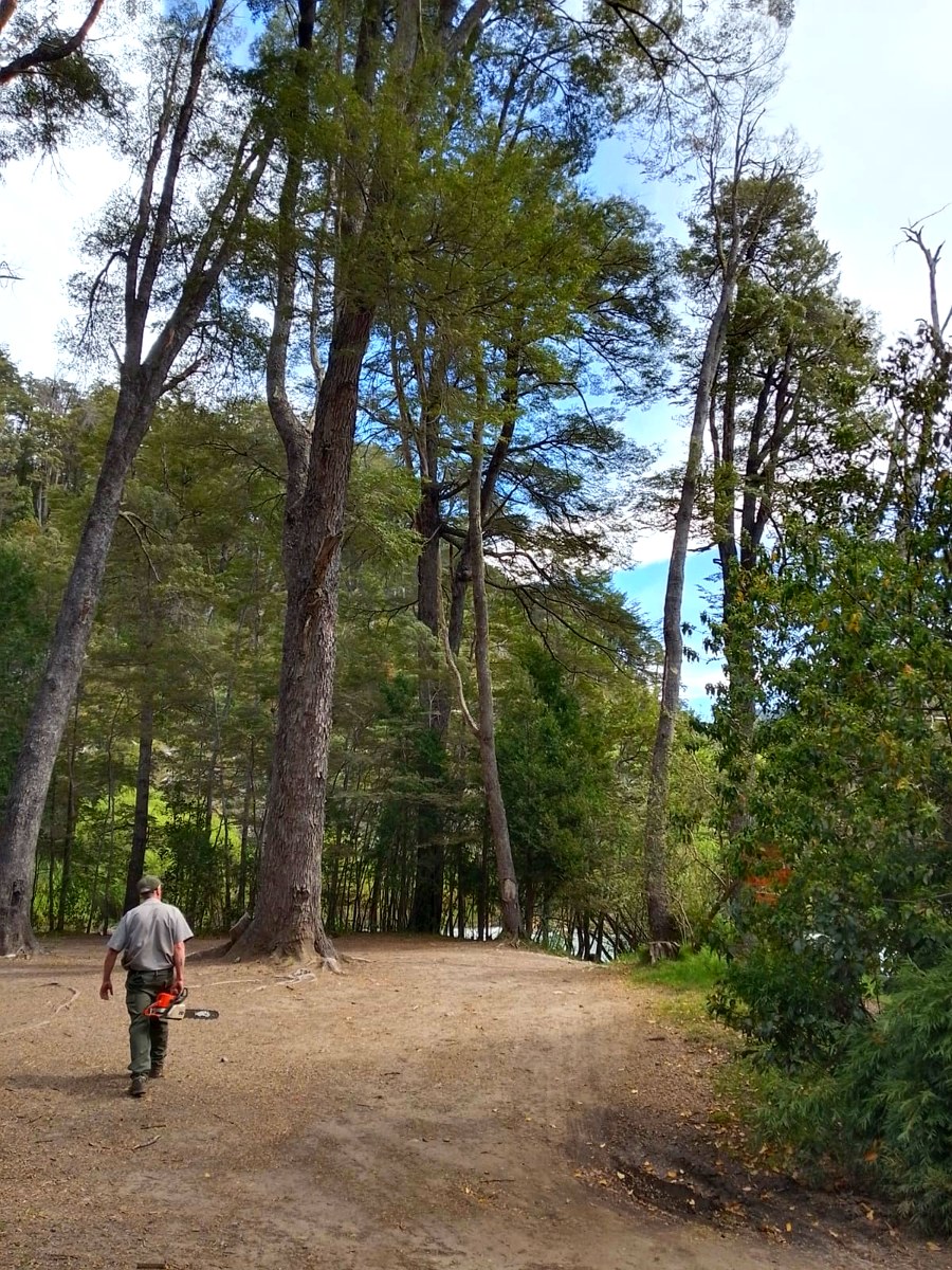 Guardaparque en la senda a Los Pozones, en el bosque del río Manso