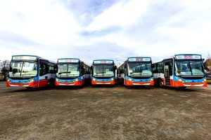 Colectivos gratis el 1 de noviembre: todas las líneas, de 8 a 19, para elegir convencionales