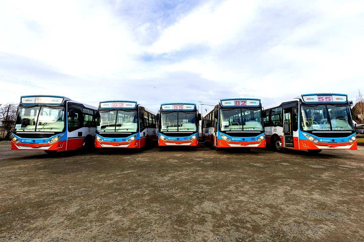 Colectivos gratis en Bariloche: unidades del transporte urbano